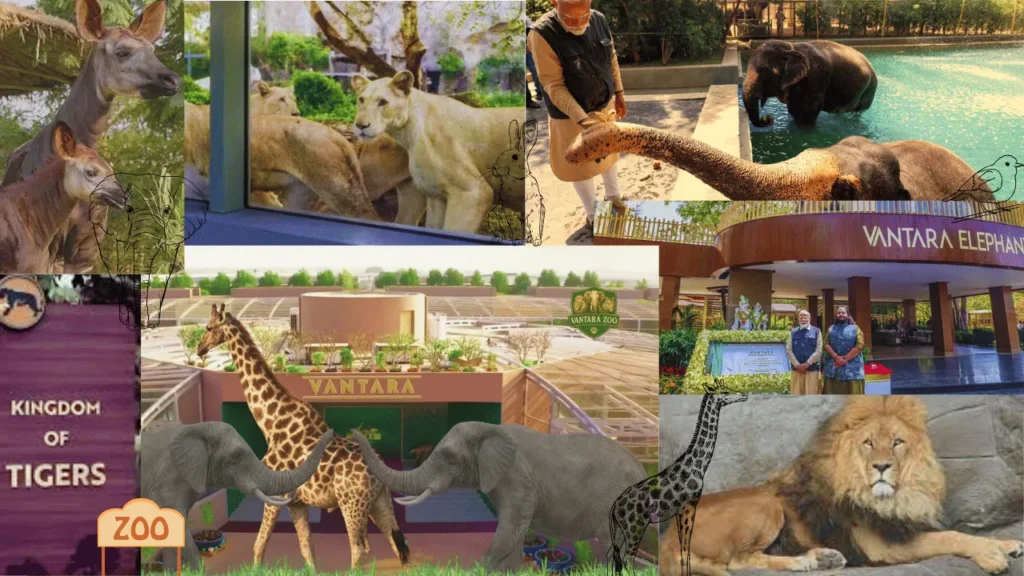 Vantara Zoo Gujarat entrance showcasing modern wildlife conservation design