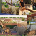 Vantara Zoo