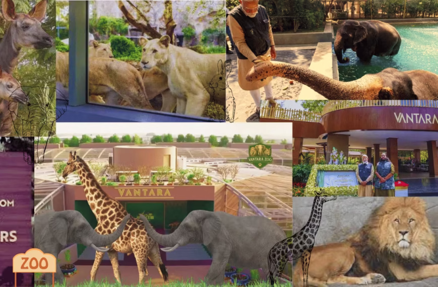 Vantara Zoo